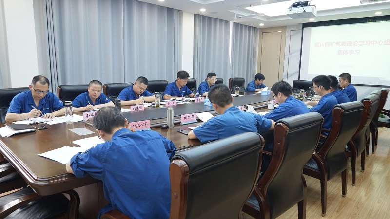 5月30日下午，，，，，，，，武山铜矿进行党委理论进建中心组专题进建会议（冯浩）.jpg